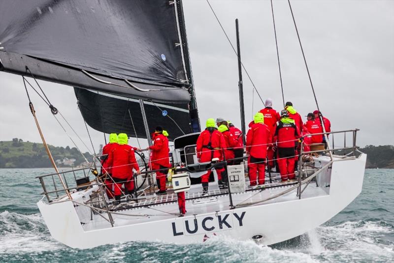 Lucky approaches the finish line in Auckland - Finish Sydney Auckland Race - October 14, 2025 - photo © Tamsin Rountree