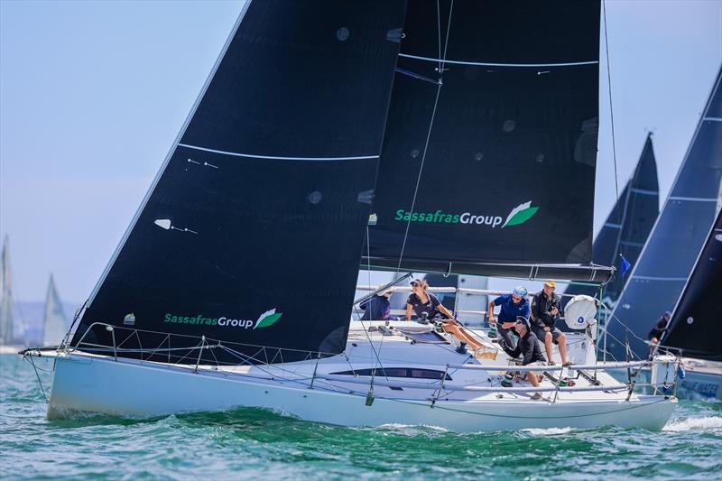 Vertigo Sailing - photo © Salty Dingo
