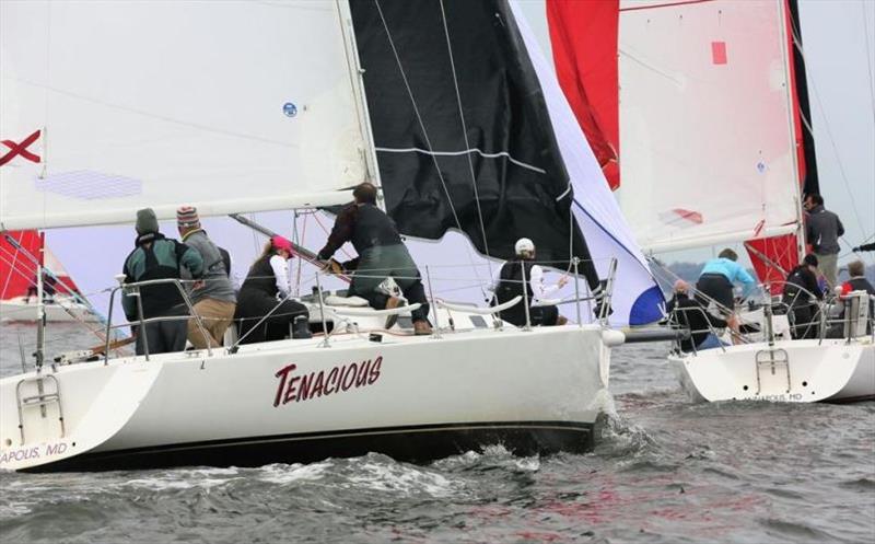 J/105 Chesapeake Bay Championship - photo © Annapolis Yacht Club