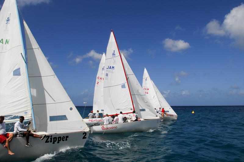 Jamin Jamaica J/22 Regatta photo copyright Jamin Jamaica J / 22 Regatta taken at Montego Bay Yacht Club and featuring the J/22 class