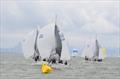 J/24 US Nationals at Berkeley day 1 © Christopher Howell