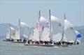J/24 US Nationals at Berkeley day 2 © Christopher Howell