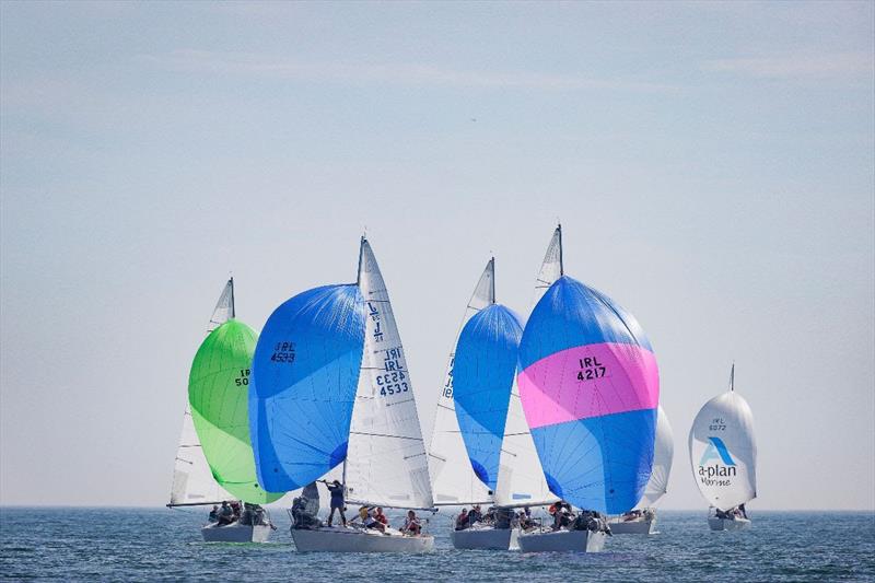 J/24 during the monday.com ICRA National Championships photo copyright David Branigan / Oceansport taken at Howth Yacht Club and featuring the J/24 class