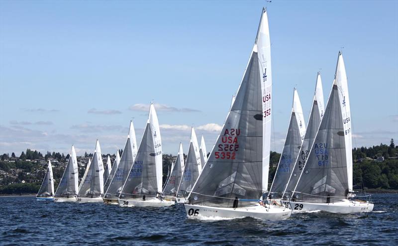 Seattle J/24s racing - photo © Jan Anderson