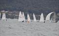 ILCA Coast Championship 2023  © Gosford Sailing Club