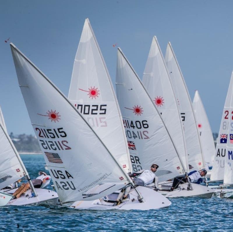 Charlie Buckingham (Newport Beach, Calif.) – World Cup Series Miami photo copyright Jesus Renedo / Sailing Energy / World Sailing taken at  and featuring the ILCA 7 class