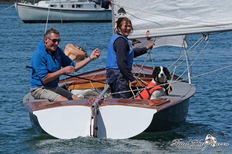 John and Linda Burthem with dog in their Falcon - Menai Straits Regatta 2022 photo copyright Paul Hargreaves Photography taken at  and featuring the Liverpool Bay Falcon class