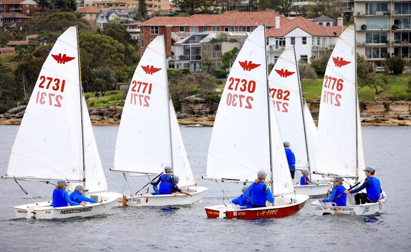 Manly Juniors - photo © Sail Media