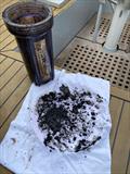 Oily waste captured in filter Yacht YEVA