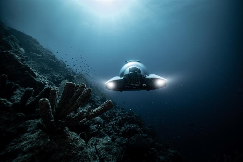 Nemo - photo © Gavin Newman