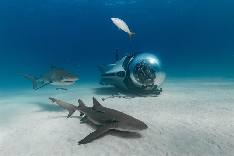 Super Sub of U-Boat Worx photo copyright U-Boat Worx  taken at  and featuring the Marine Industry class