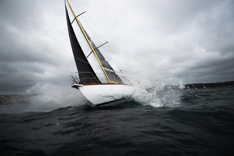 Maritimo Katwinchar competing in the 2024 Bird Island Race - photo © CYCA / Vito Feremans