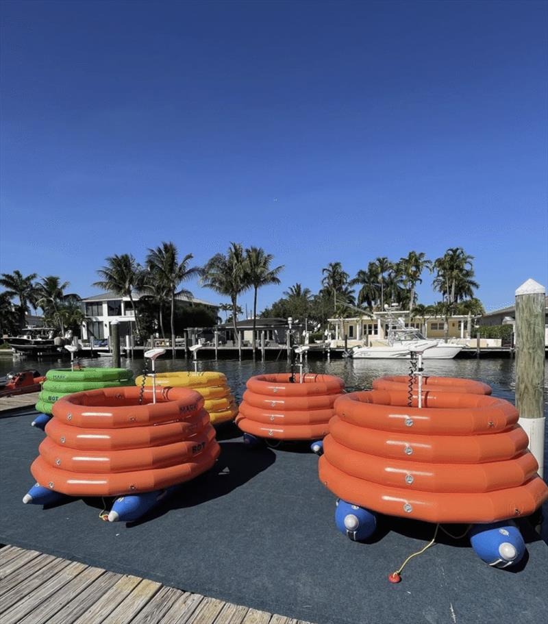 Newcastle Harbour Swim - photo © Suzie Ryan
