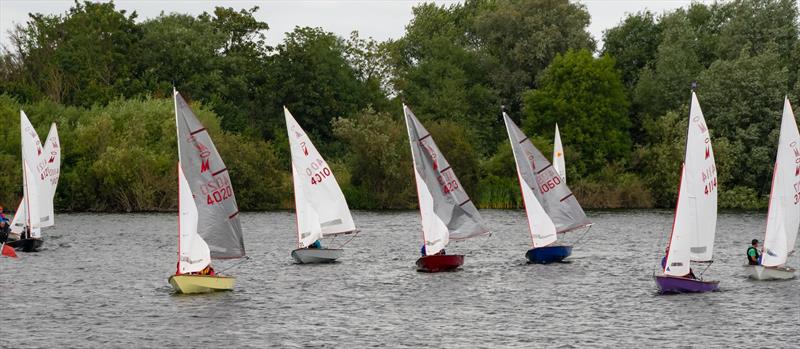 Miracle Southern Area Championship at Whitefriars photo copyright Dave Whittle taken at Whitefriars Sailing Club and featuring the Miracle class