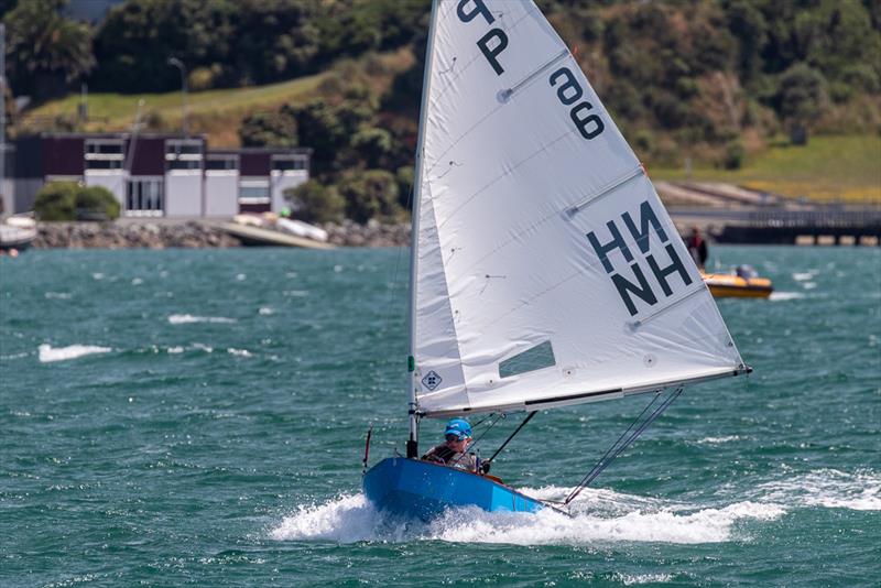 Mason Mulcahy - Day 1 - 2019 Tanner Cup - Evans Bay Yacht & Motor Boat Club - photo © Deb Williams