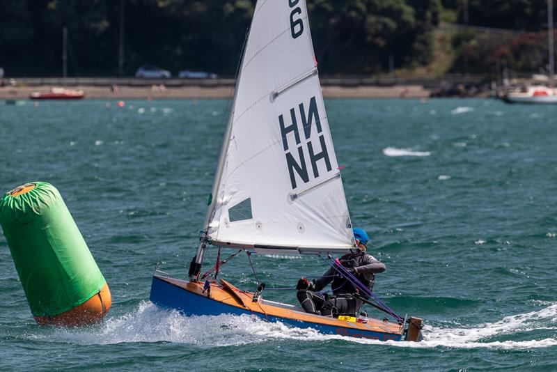 Mason Mulcahy - Day 1 - 2019 Tanner Cup - Evans Bay Yacht & Motor Boat Club photo copyright Deb Williams taken at Evans Bay Yacht & Motor Boat Club