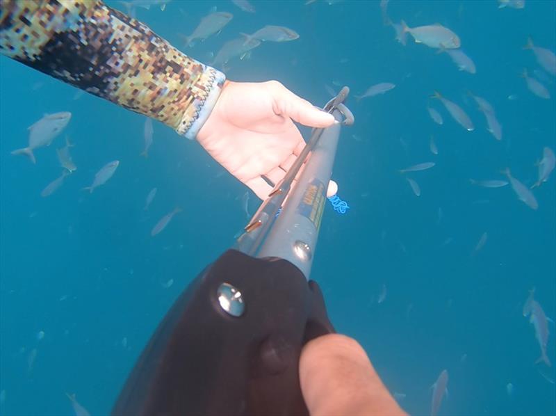 GoPro footage of the fishermen spearfishing on the day of the rescue photo copyright Saltwater Stone taken at 