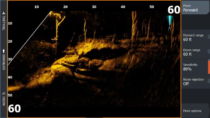 ActiveTarget™ Live Sonar - photo © Lowrance