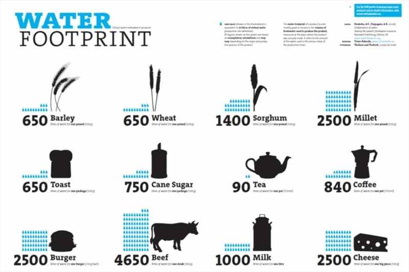 Water Footprint Implementation helps to further sustainability goals photo copyright Water Footprint Implementation taken at 