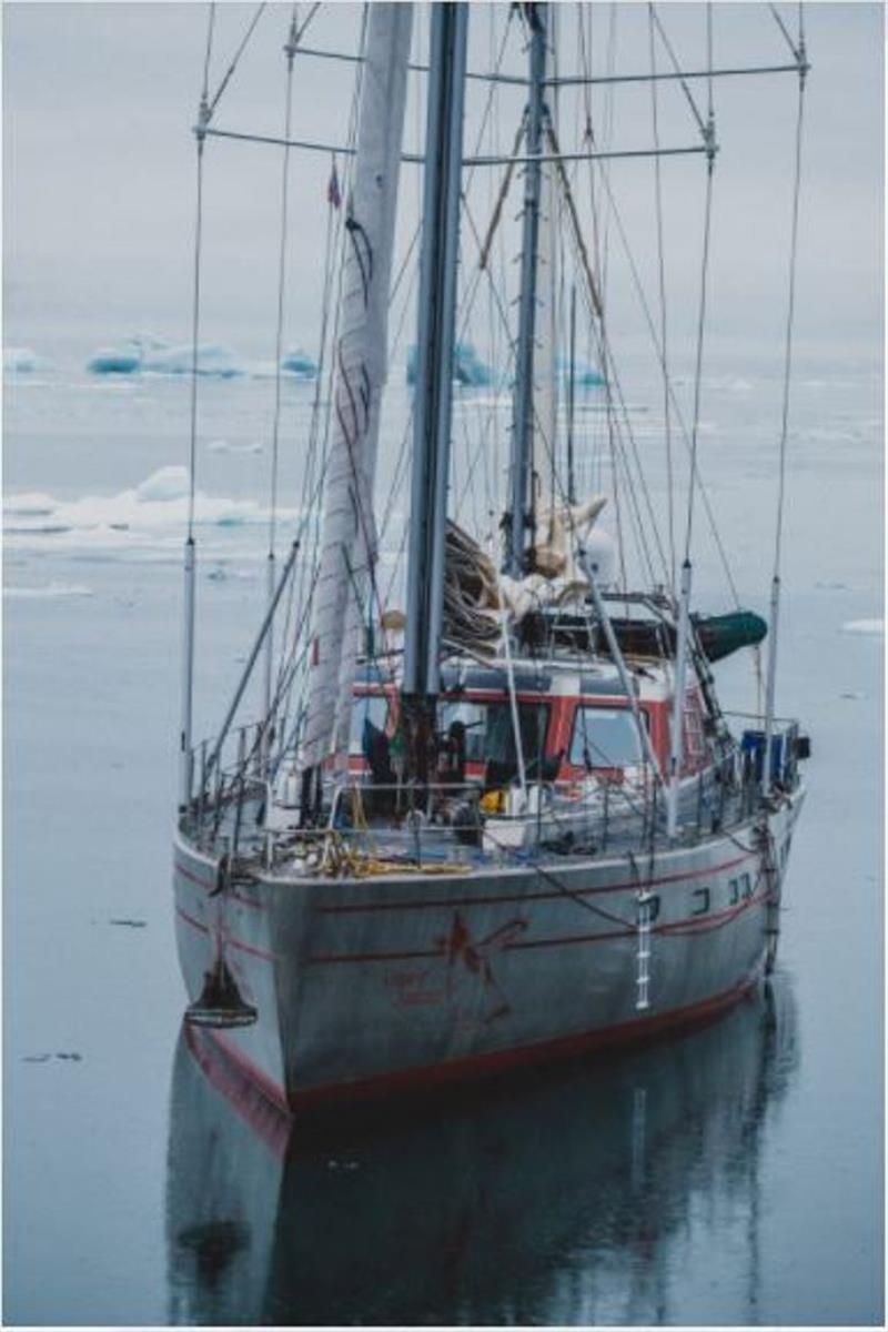 Vinson of Antarctica photo copyright Wave International taken at 