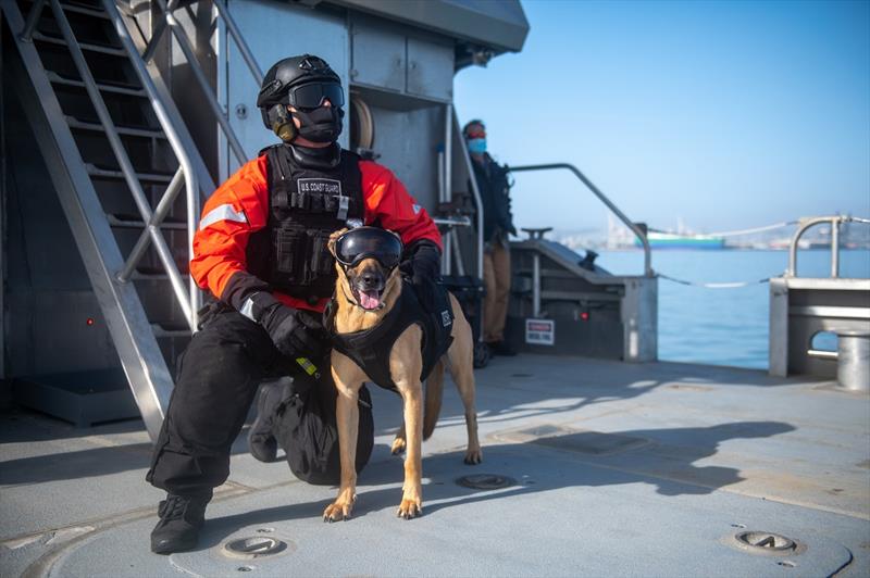 Coast Guard Foundation raising funds to build a K9 Memorial at
