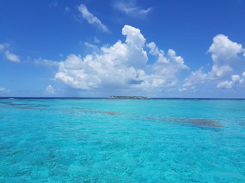 Tobago Cays Marine Park - photo © BWA Yachting