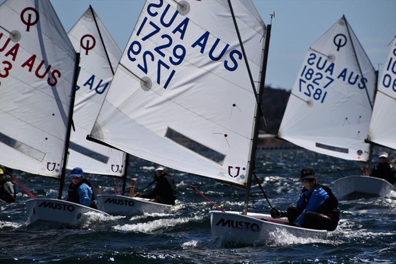 Tasmanian International Optimist Open and Intermedia Fleets - photo © Jane Austin
