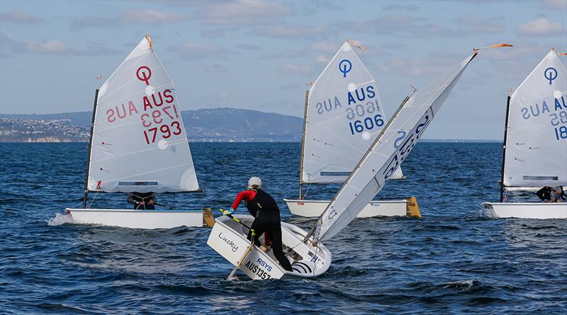 2023 Opti State Championships photo copyright Al Dillon taken at Mornington Yacht Club and featuring the Optimist class