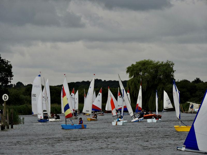 Horning Sailing Club Regatta Week 2023 photo copyright Holly Hancock taken at Horning Sailing Club and featuring the Optimist class