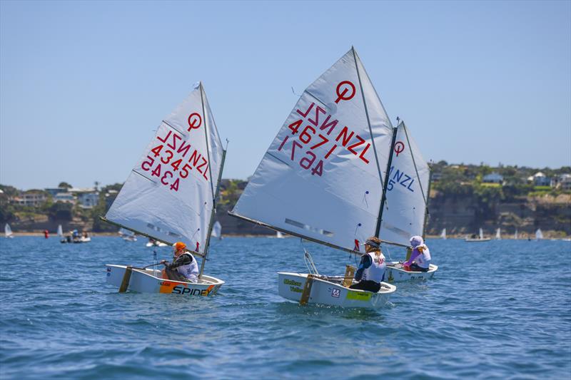 Optimist - Day 2 - Sir Peter Blake Regatta - Torbay Sailing Club - December 8, 2025 - photo © Jacob Fewtrell/Insight Media/Insightmedia.co.nz/