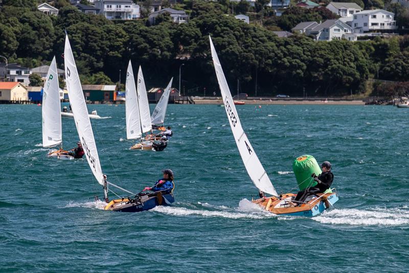 P Class: Day 1 2018 Tanner Cup - Evans Bay Yacht & Motor Boat Club - January 3, 2019 photo copyright Deb Williams taken at Evans Bay Yacht & Motor Boat Club and featuring the P class class