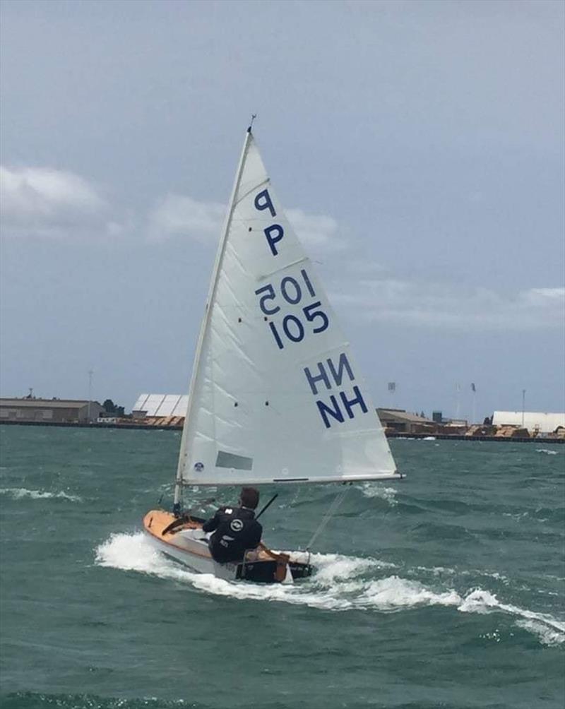 Harrison Loretz -  P class - Tanner Cup - Tauranga Yacht and Power Boat Club - January 2019 photo copyright Tauranga Yacht and Power Boat Club taken at  and featuring the P class class