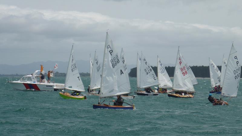 Day 1 - P class - Tauranga Cup - Tauranga Yacht and Power Boat Club - January 2019 photo copyright Tauranga Yacht and Power Boat Club taken at  and featuring the P class class