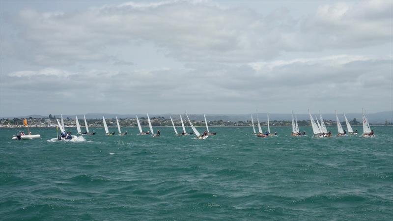 Day 1 - P class - Tauranga Cup - Tauranga Yacht and Power Boat Club - January 2019 photo copyright Tauranga Yacht and Power Boat Club taken at  and featuring the P class class