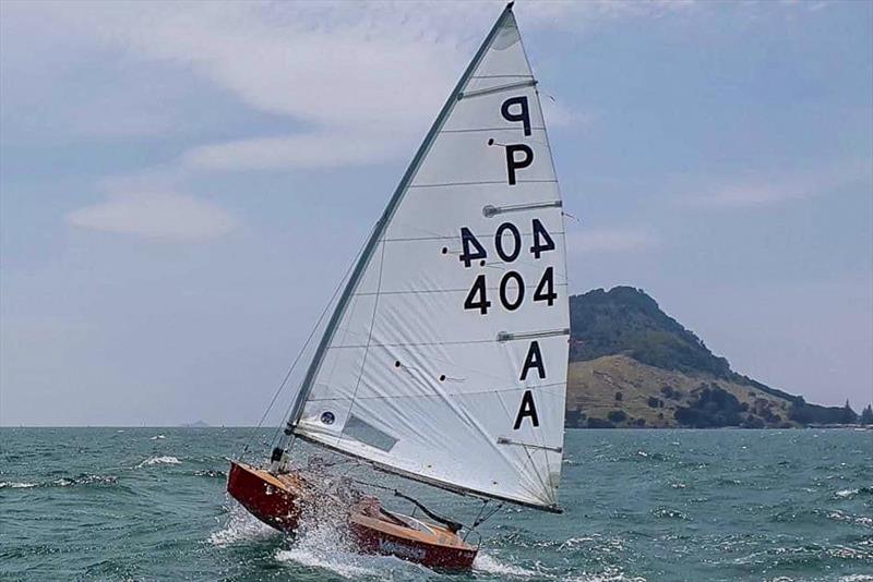 Tim Howse -  P class - Tanner Cup - Tauranga Yacht and Power Boat Club - January 2019 photo copyright Tauranga Yacht and Power Boat Club taken at  and featuring the P class class