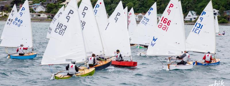 P Class - Tauranga Cup - january 2023 - Plimmertpn BC - photo © Deb Williams/YNZ/PBC