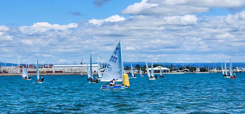 Mila Blundell leading Race 1 -  P class - 2024 Tauranga Cup, January 7, 2024, Tauranga photo copyright Gary Smith taken at Tauranga Yacht & Powerboat Club and featuring the P class class