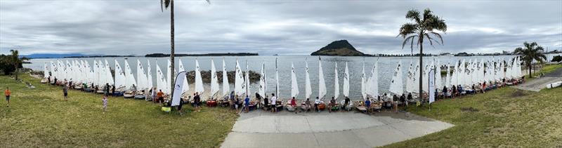 Assembled fleet -  P class - 2024 Tauranga Cup, January 7, 2024, Tauranga photo copyright Gary Smith taken at Tauranga Yacht & Powerboat Club and featuring the P class class