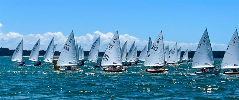 P class - 2024 Tauranga Cup, January 8, 2024, Tauranga photo copyright Gary Smith taken at Tauranga Yacht & Powerboat Club and featuring the P class class