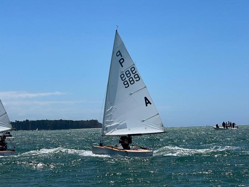 Bella Jenkins - P class - 2024 Tauranga Cup, January 9, 2024, Tauranga - photo © Gary Smith