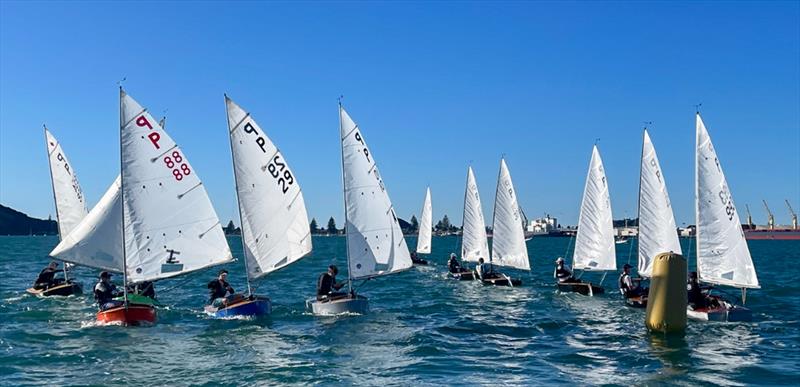 Wihau Shield - P class - 2024 Tauranga Cup, May 4, 2024, Tauranga - photo © Gary Smith