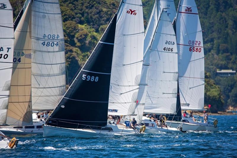 A tight race  - Waikawa New Year Regatta 2021 photo copyright Karmyn Ingram taken at Waikawa Boating Club and featuring the PHRF class