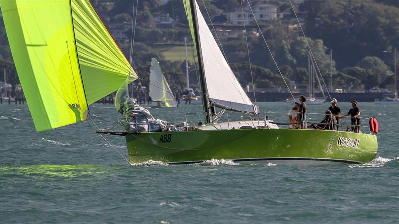 Doyle Sails Evening Race - Royal New Zealand Yacht Squadron, January 19, 2021 - photo © Richard Gladwell - Sail-World.com/nz