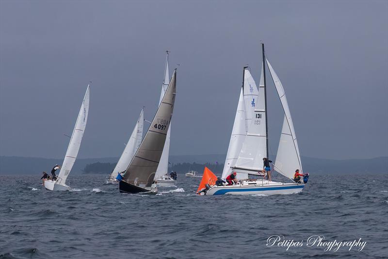 Chester Race Week 2025 - photo © Bob Pettipas