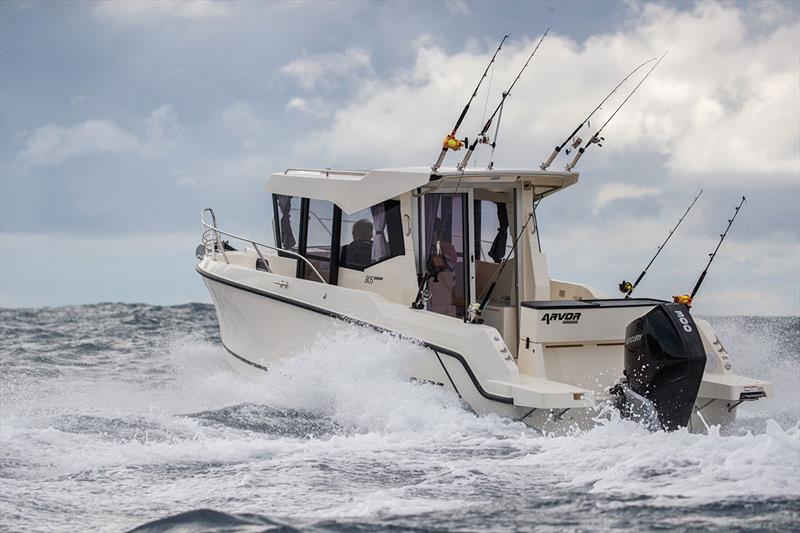 805 Sportsfish - photo © Tim Pascoe
