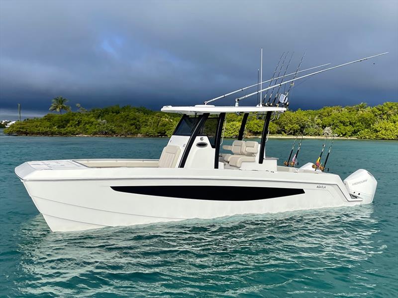 28 Molokai Power Catamaran - photo © Whitehaven Motor Yachts