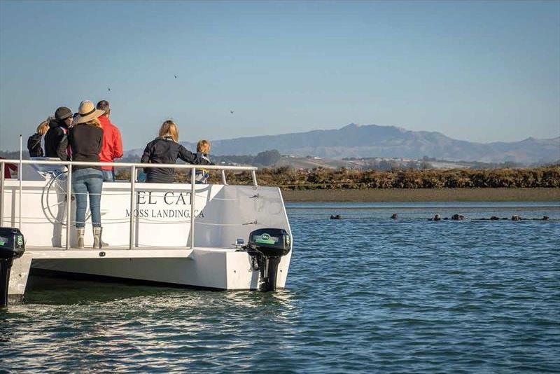Monterey Bay Eco Tours opts for electric propulsion - photo © Martin Flory Group