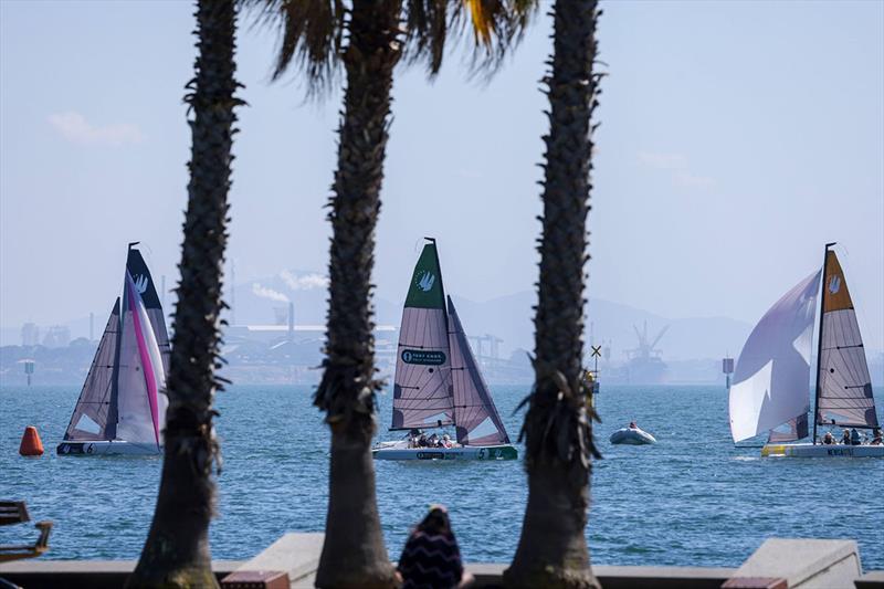 The Sailing Development Program photo copyright Royal Geelong Yacht Club taken at Royal Geelong Yacht Club and featuring the RS21 class