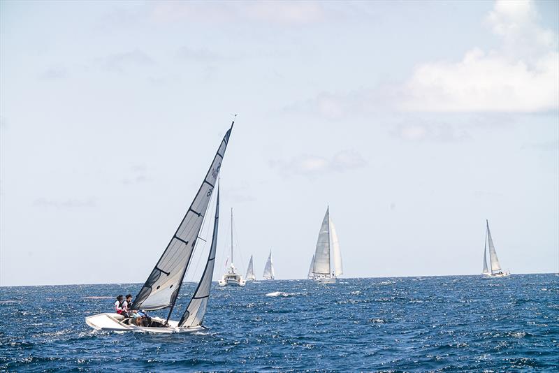 RS Elite at Antigua Sailing Week 2024 - photo © Nigel Scotland / Visual Echo + Anna Black