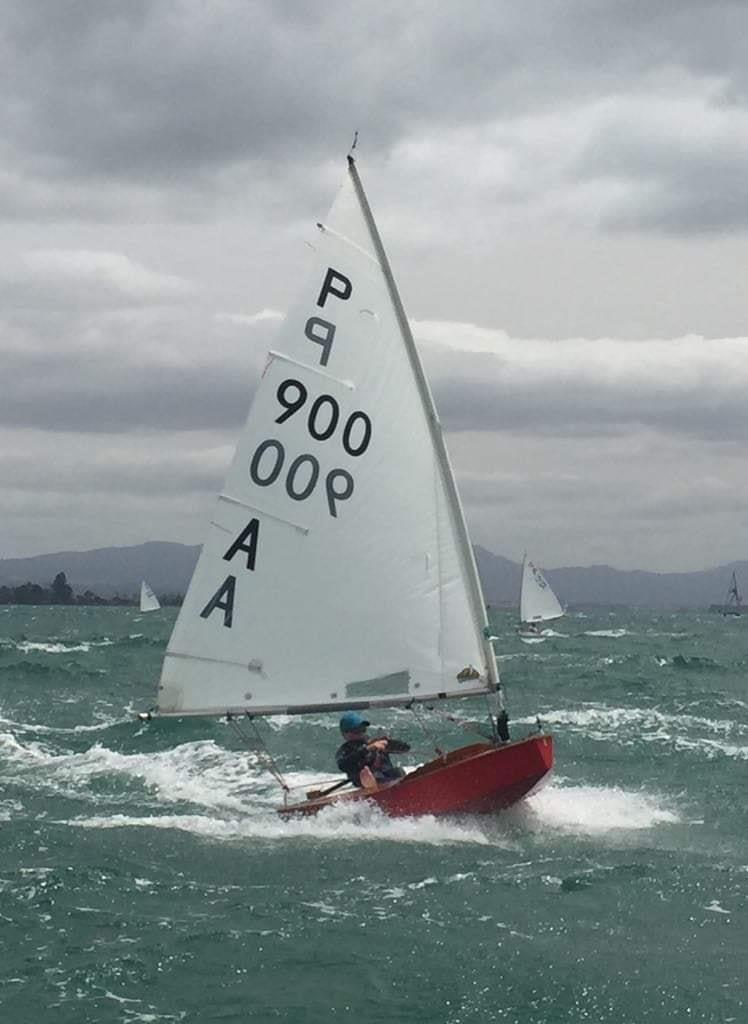 George Cole-Baker -  P class - Tanner Cup - Tauranga Yacht and Power Boat Club - January 2019 - photo © Tauranga Yacht and Power Boat Club